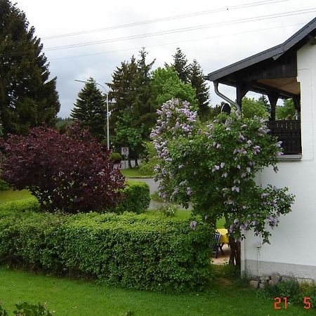 Urlaub Auf Dem Bauernhof Marx Villa Kelberg Luaran gambar