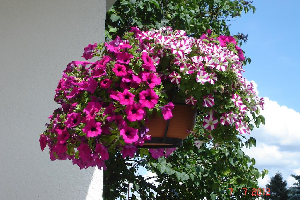 Urlaub Auf Dem Bauernhof Marx Villa Kelberg Bilik gambar