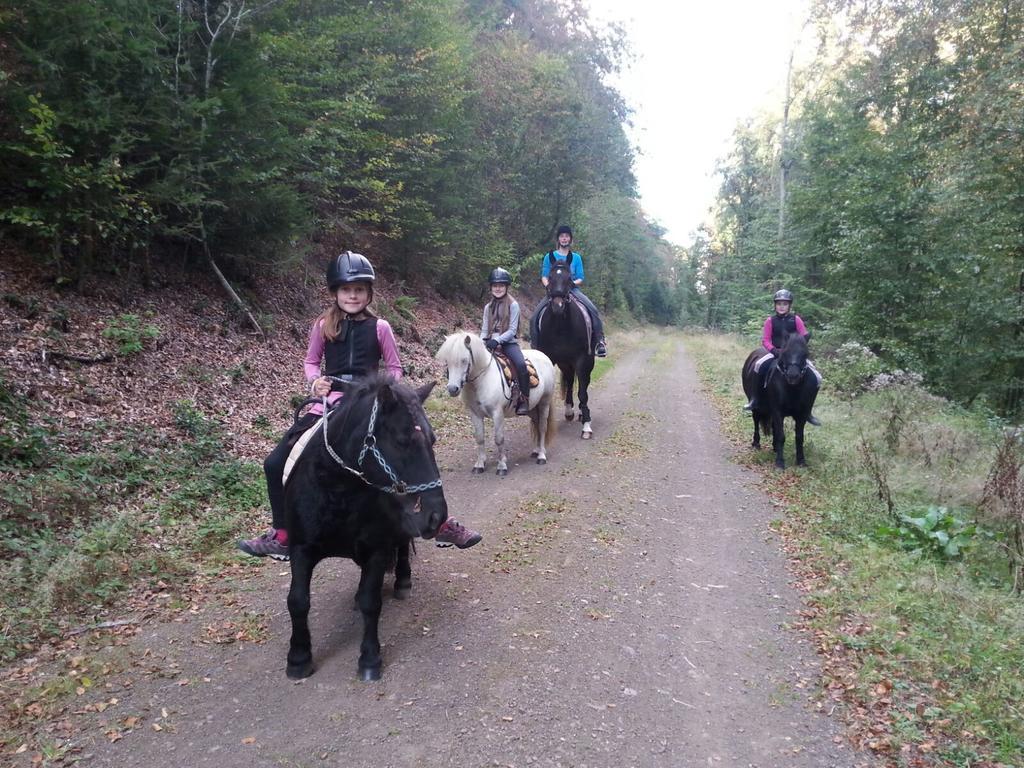 Urlaub Auf Dem Bauernhof Marx Villa Kelberg Luaran gambar